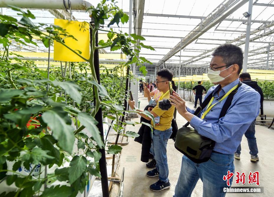 港澳臺和東南亞華文新媒體探訪新疆喀什多地了解民眾生活狀況