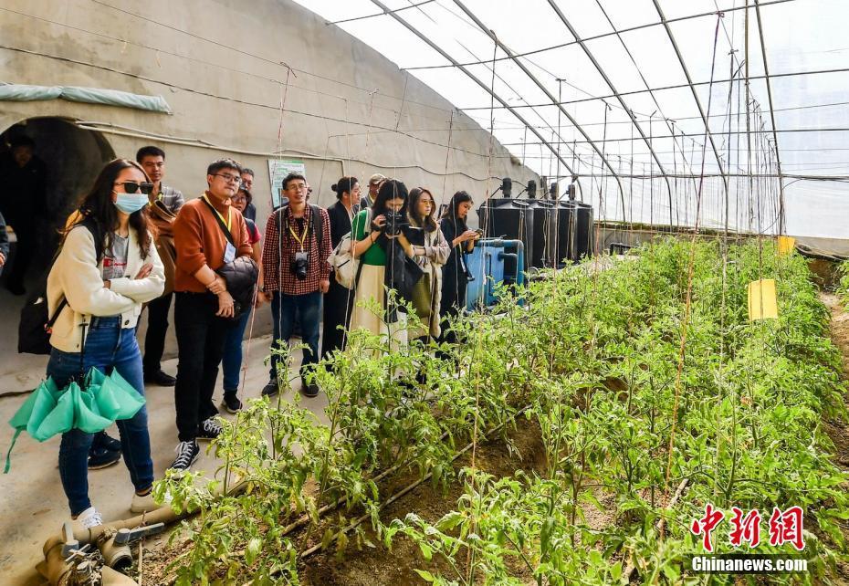 港澳臺和東南亞華文新媒體探訪新疆喀什多地了解民眾生活狀況