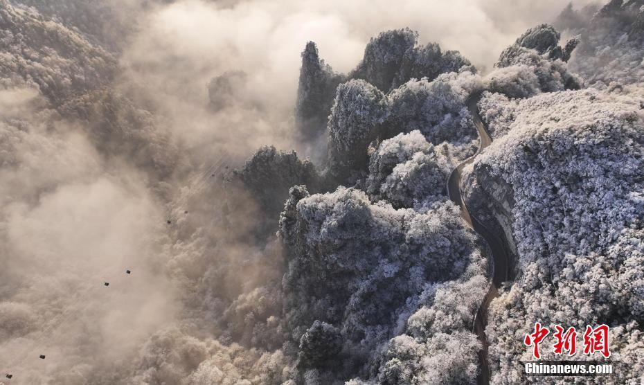 張家界天子山雪后初霽 銀裝素裹景如畫