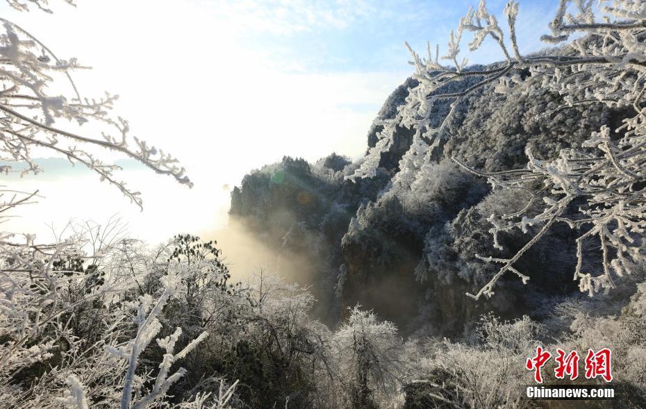 張家界天子山雪后初霽 銀裝素裹景如畫