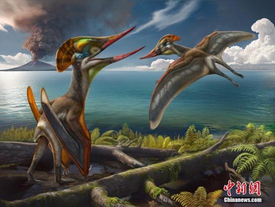 中巴科学家最新研究发现新的翼龙 命名为“友好美丽飞龙”
