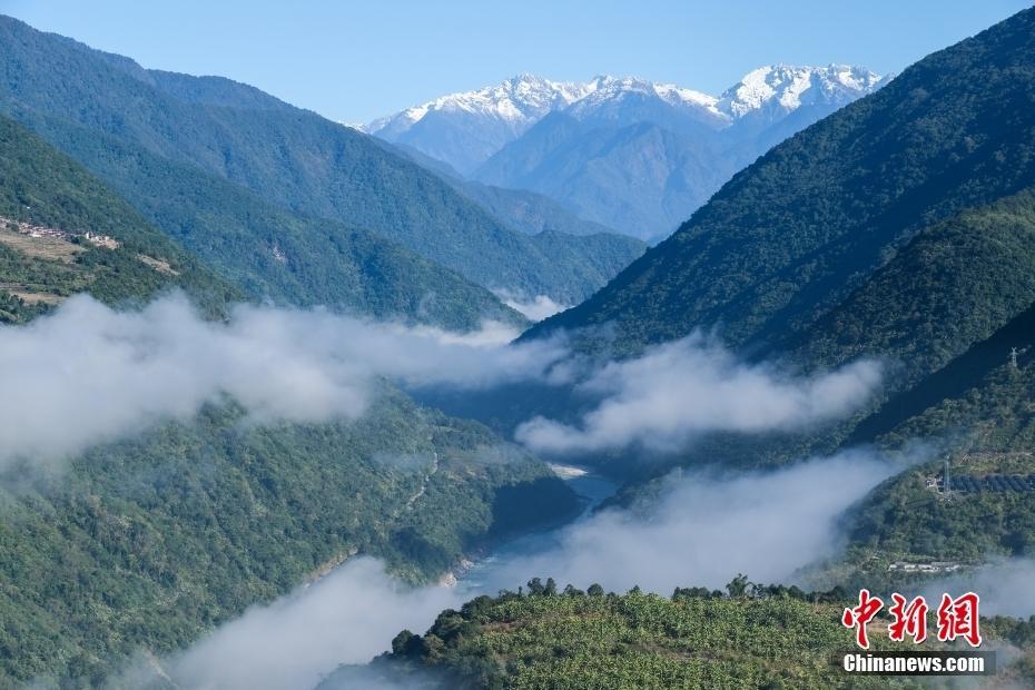 中國動(dòng)植物專家學(xué)者探秘墨脫