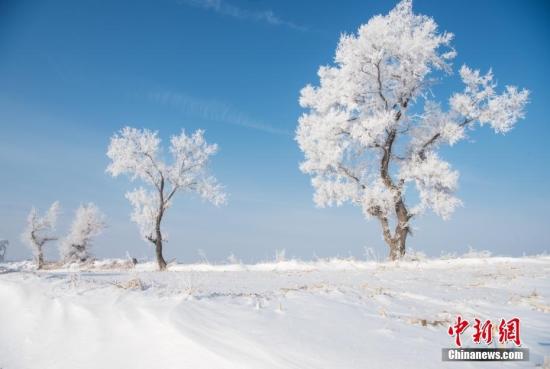 吉林舒蘭現(xiàn)霧凇美景 原野綴滿(mǎn)“玉樹(shù)瓊枝”