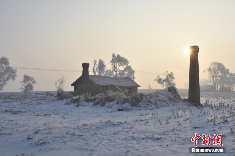 吉林舒蘭現(xiàn)霧凇美景 原野綴滿“玉樹瓊枝”