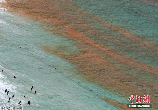 南非開普敦海域遭遇赤潮 海水呈鐵銹紅色