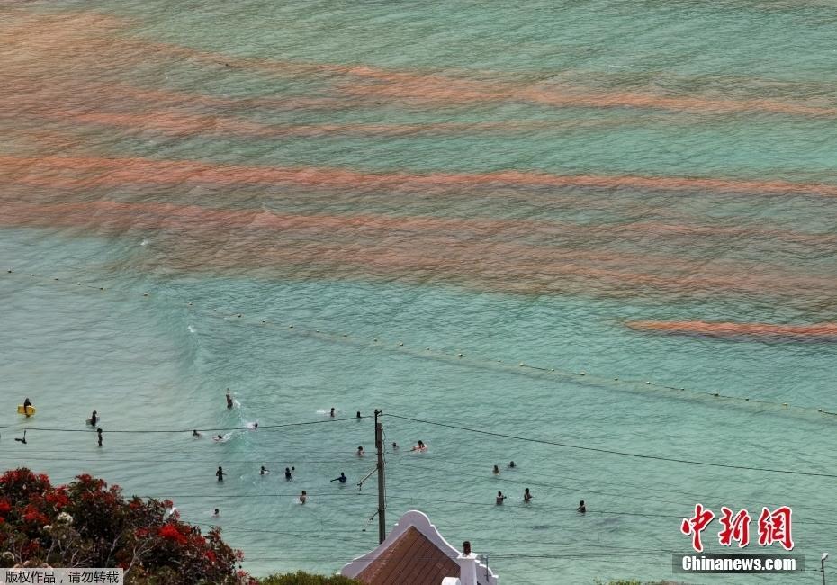 南非開普敦海域遭遇赤潮 海水呈鐵銹紅色