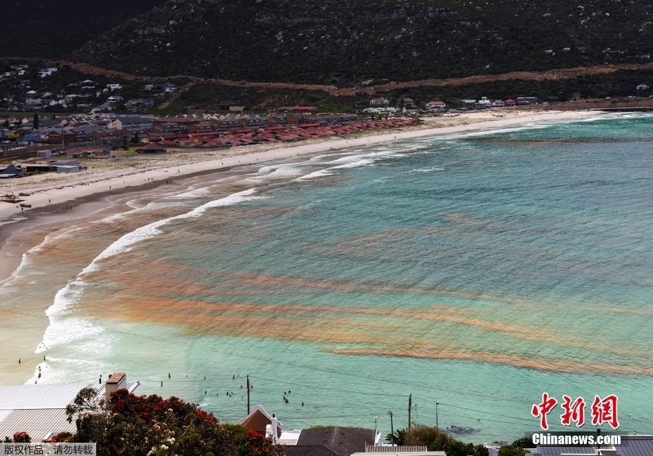 南非開普敦海域遭遇赤潮 海水呈鐵銹紅色