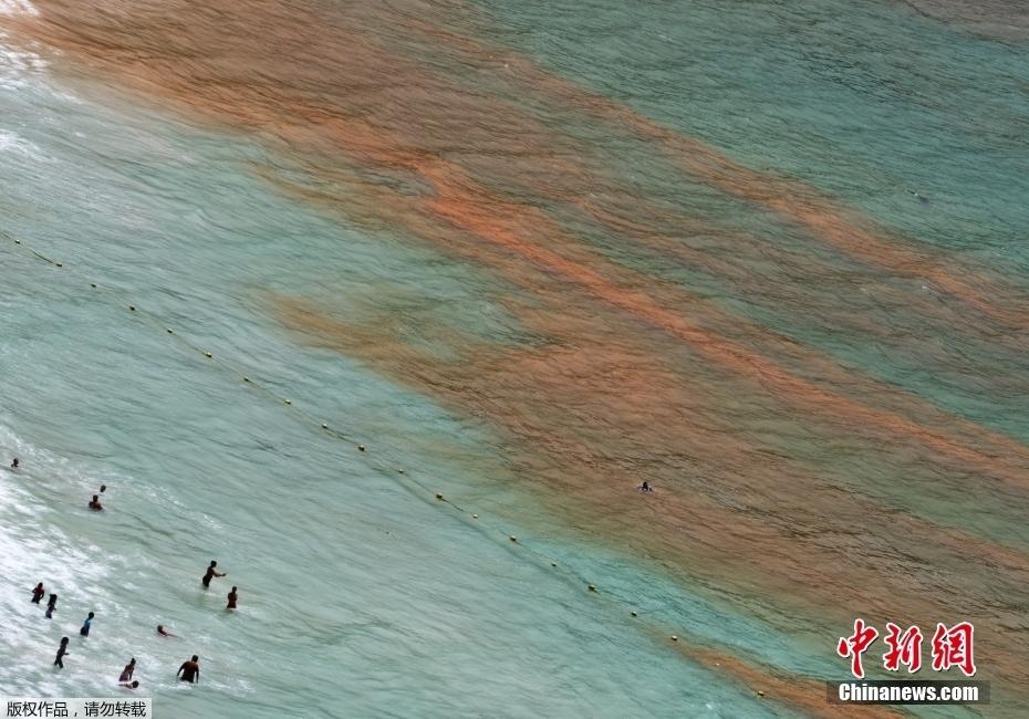 南非開(kāi)普敦海域遭遇赤潮 海水呈鐵銹紅色