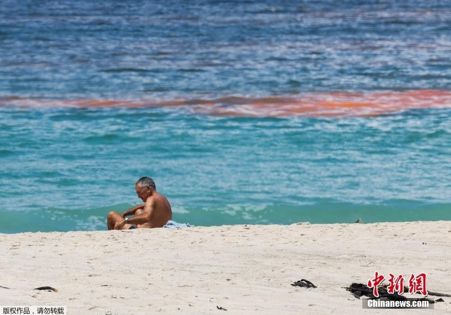 南非開普敦海域遭遇赤潮 海水呈鐵銹紅色