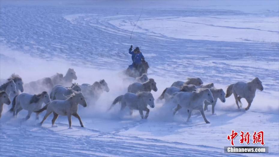 冬日烏蘭布統(tǒng)草原：牧民揚(yáng)鞭 馬踏飛雪