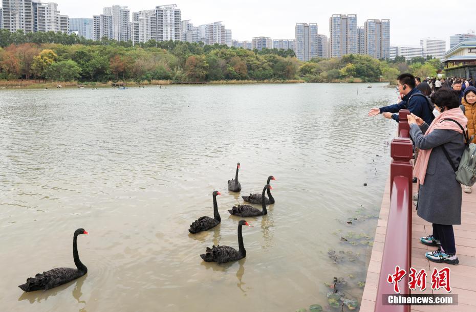 廈門五緣灣生態(tài)良好風(fēng)景怡人