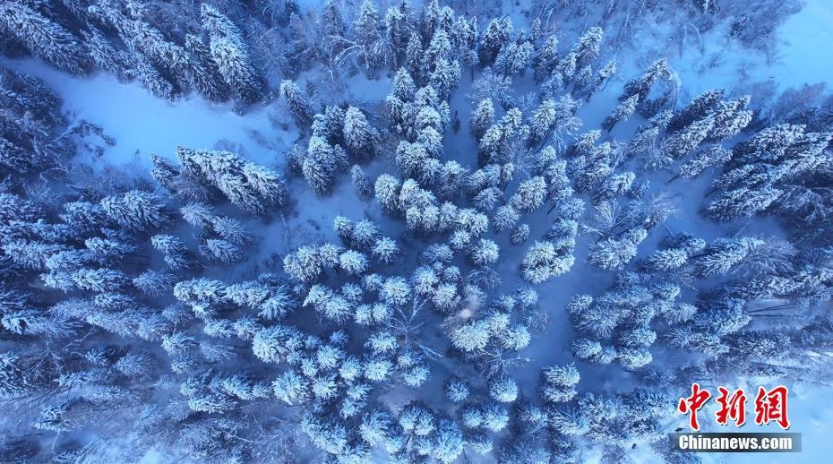 云海雪景紛至沓來 新疆布爾津禾木“上映”絕美冬景