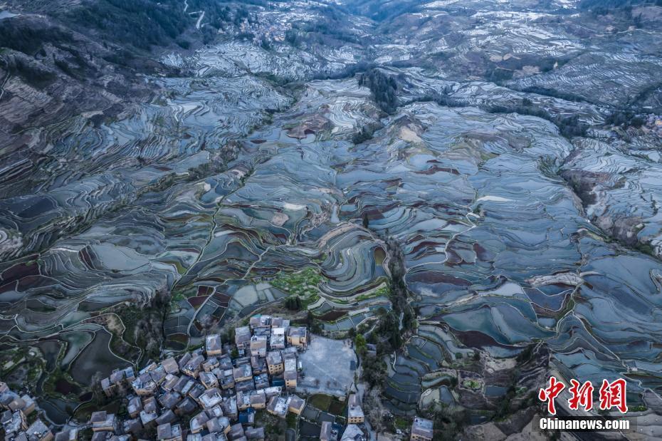 云南紅河：暮色漸深 元陽梯田層層疊疊生機(jī)盎然