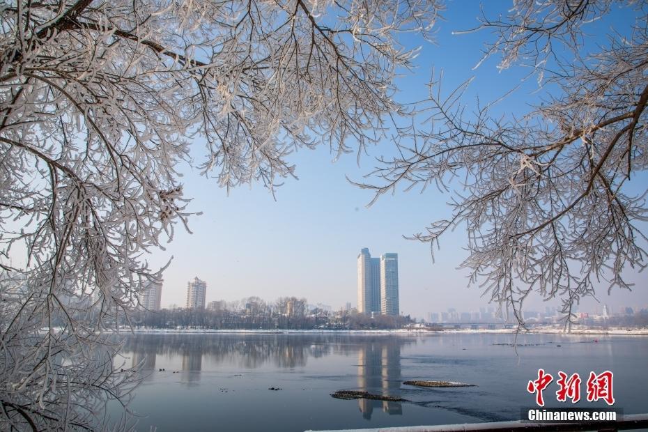 春雪過后 吉林松花江再迎霧凇盛宴