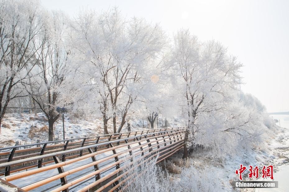 春雪過(guò)后 吉林松花江再迎霧凇盛宴