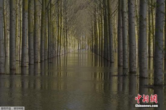 法国中西部部分地区遭遇洪水袭击