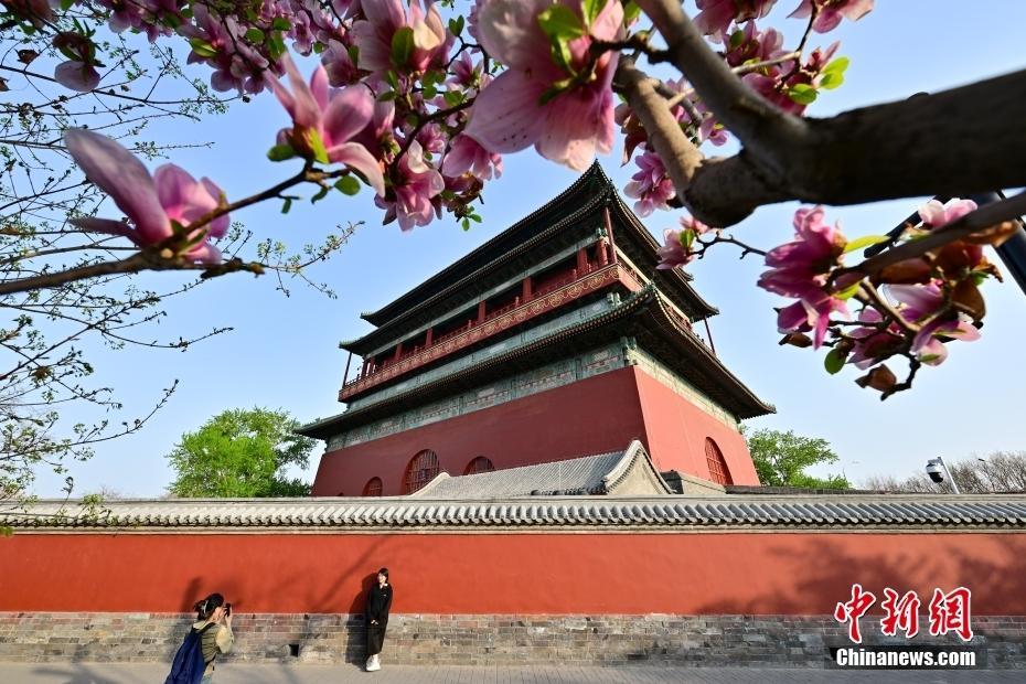 北京春光明媚 中軸線花香滿京城