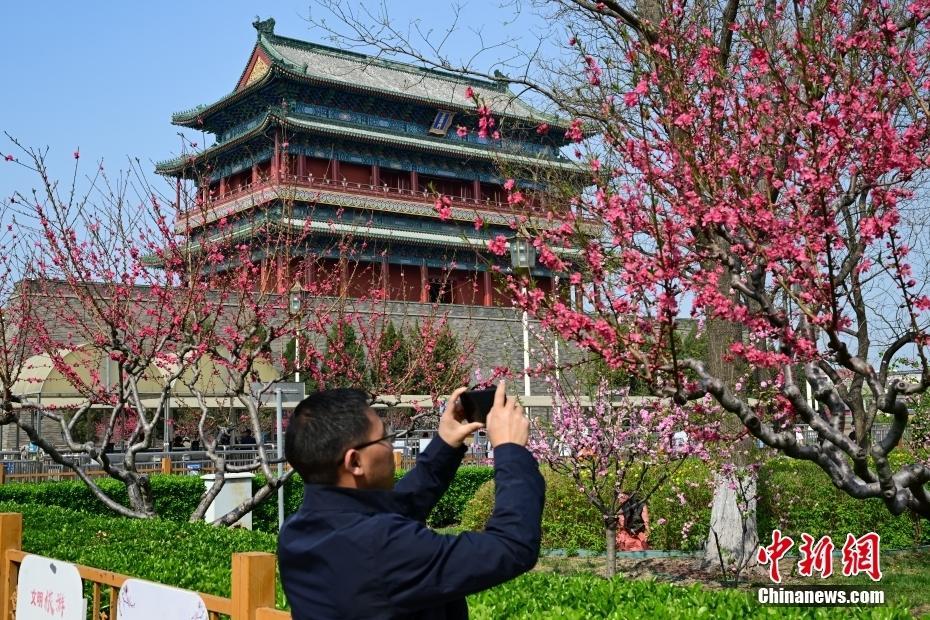 北京春光明媚 中軸線花香滿京城