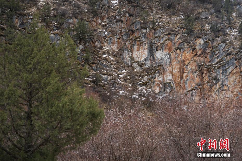 青海玉樹勒巴溝：刻畫在石頭上的千年藏族文化