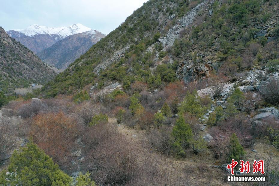 青海玉樹勒巴溝：刻畫在石頭上的千年藏族文化