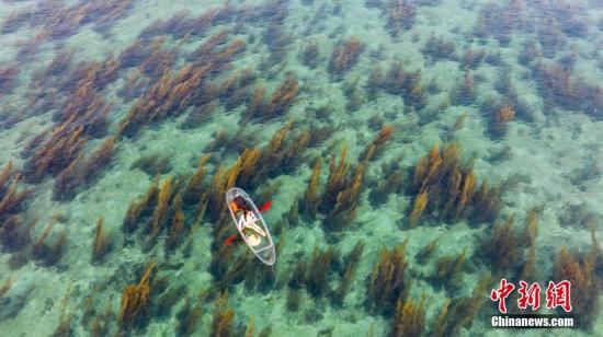 廣西北海潿洲島“玻璃海”如仙境