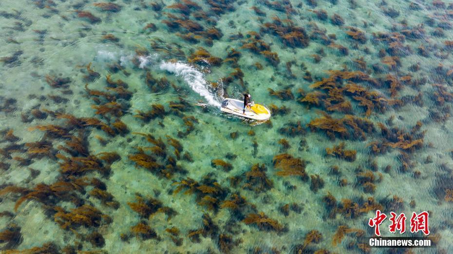 廣西北海潿洲島“玻璃海”如仙境