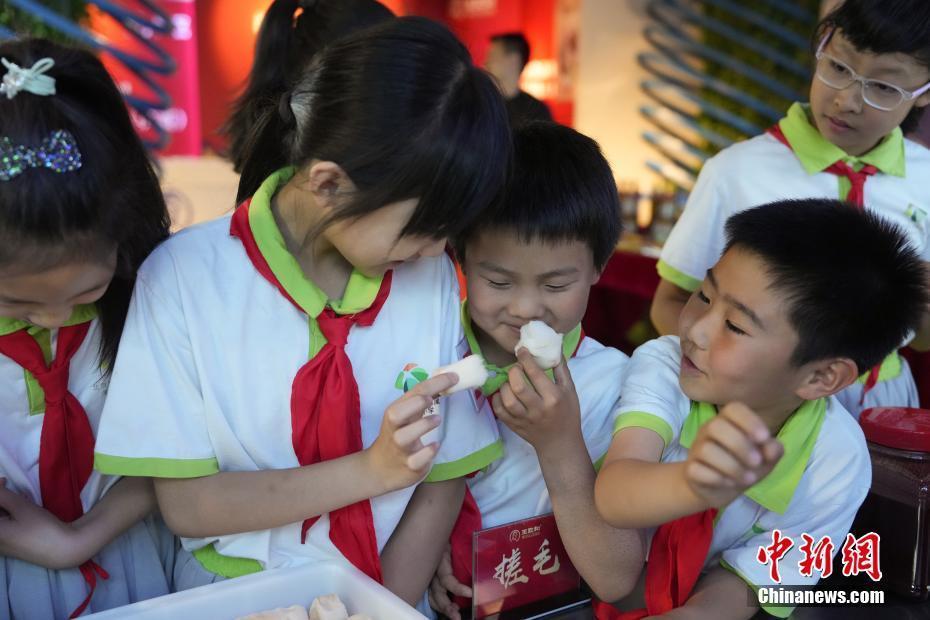 北京：小學生腐乳科普館感受“東方奶酪”魅力