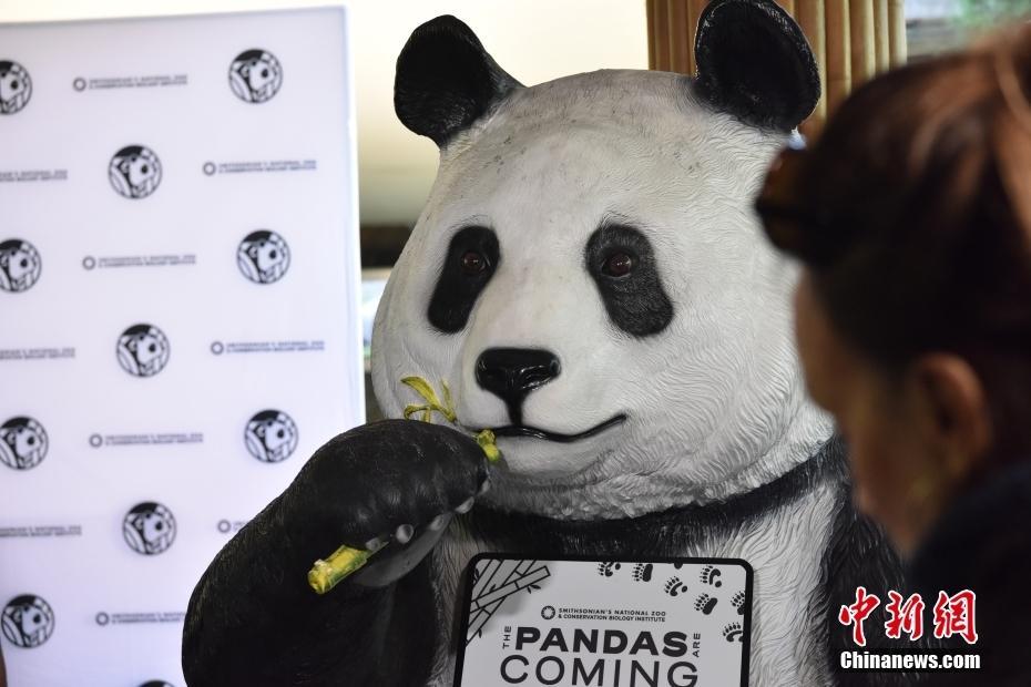 美國華盛頓國家動物園宣布年底將迎來兩只大熊貓