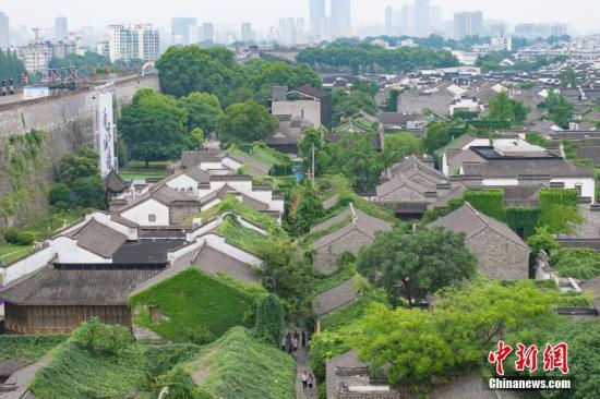 南京老城南古建筑“披”綠衣添新景