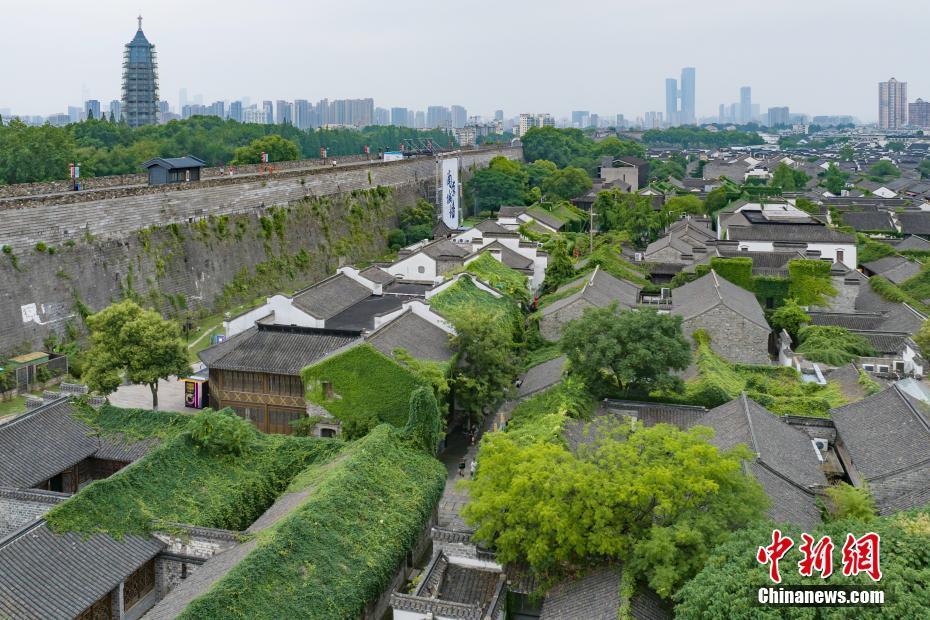 南京老城南古建筑“披”綠衣添新景