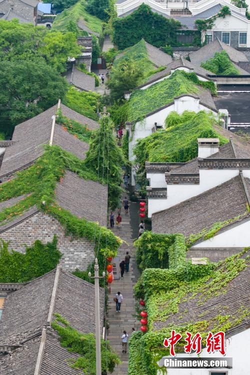 南京老城南古建筑“披”綠衣添新景