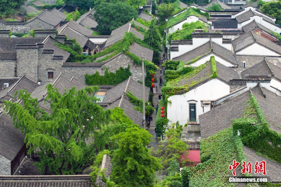 南京老城南古建筑“披”綠衣添新景