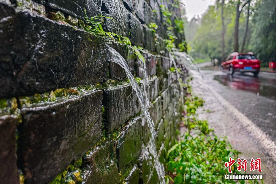 南京迎降雨 明城墻再現(xiàn)“龍吐水”景觀