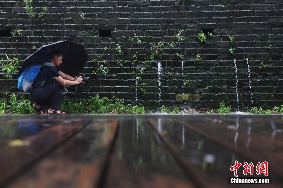 南京迎降雨 明城墻再現(xiàn)“龍吐水”景觀