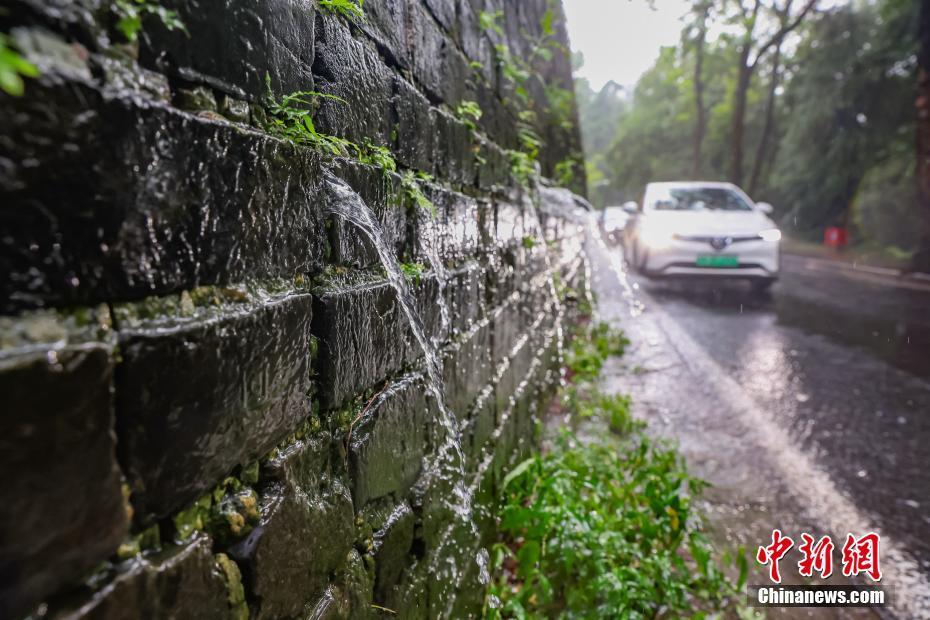 南京迎降雨 明城墻再現(xiàn)“龍吐水”景觀