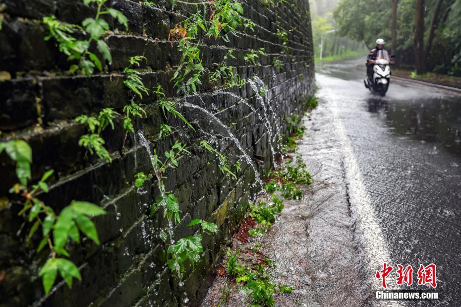 南京迎降雨 明城墻再現(xiàn)“龍吐水”景觀