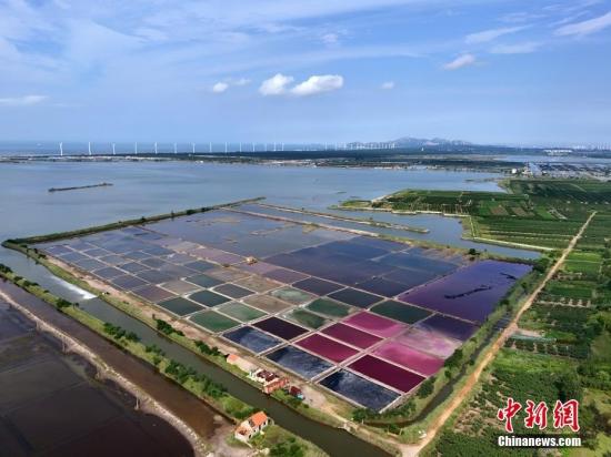 山東榮成：鹽田色彩斑斕風景美