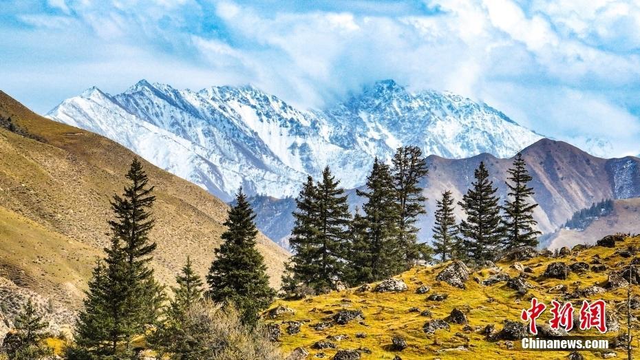 甘肅張掖 ：祁連山植被黃綠交織 遠(yuǎn)處山頂白雪皚皚