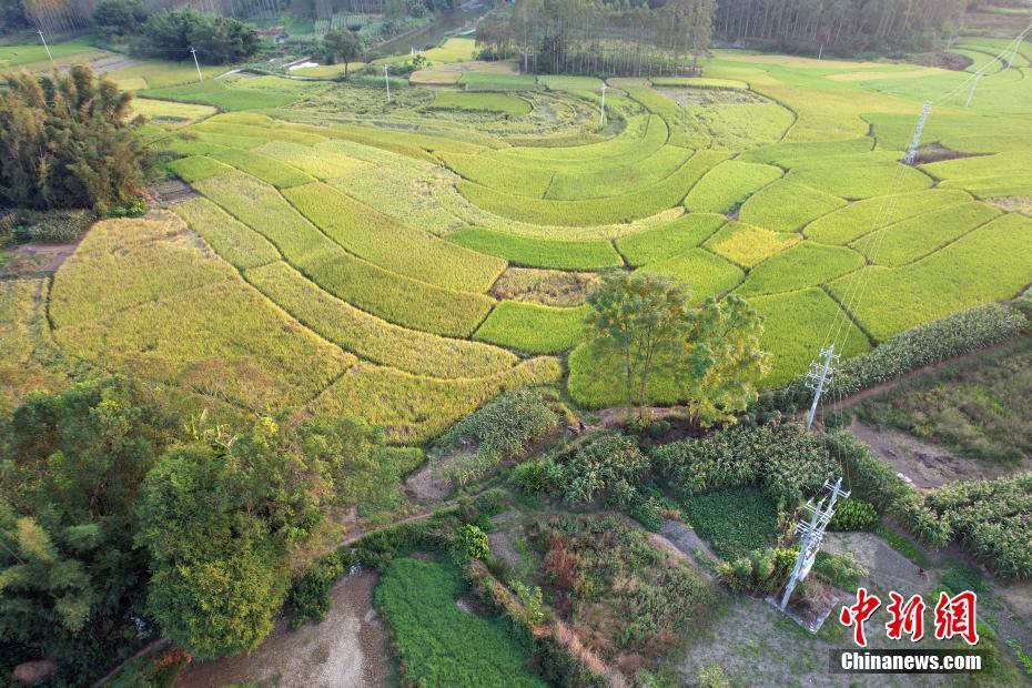 秋收時(shí)節(jié)航拍廣西來賓壯族山村梯田美如畫