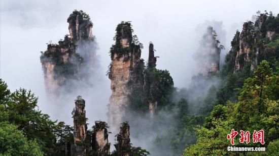 湖南張家界國(guó)家森林公園雨后云霧飄渺如水墨畫(huà)