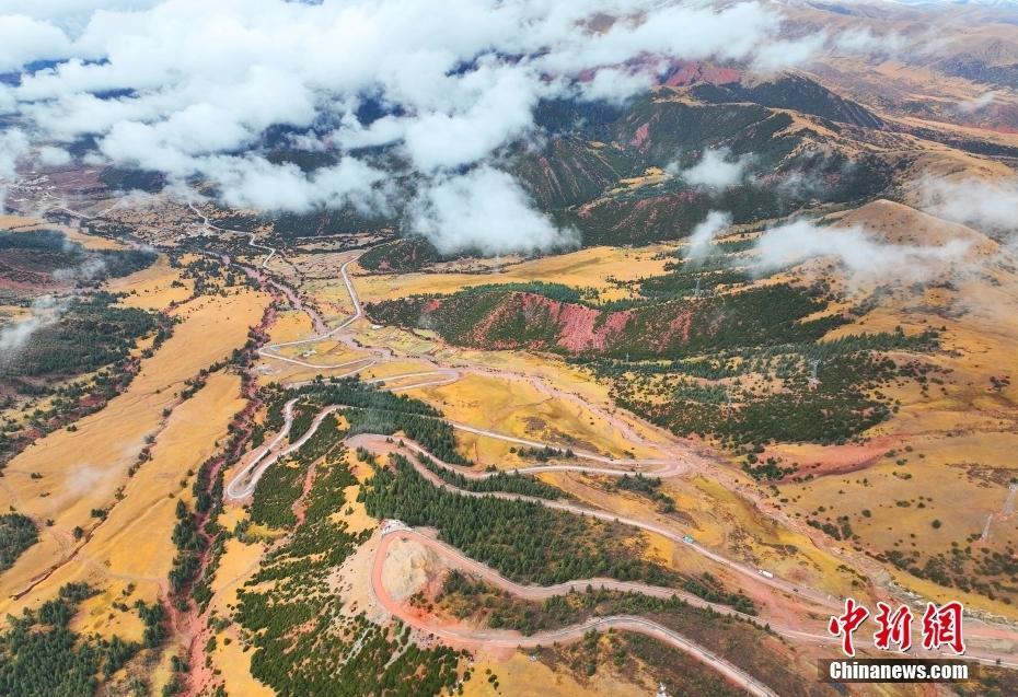 西藏昌都：拉烏山秋日滿目金黃 成群牛羊高原草地悠哉覓食