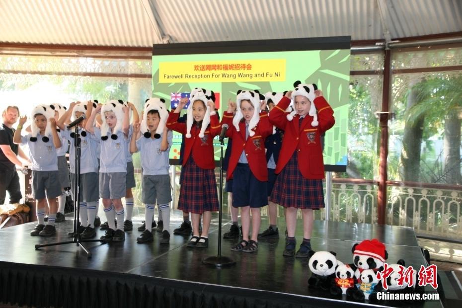 澳大利亞阿德萊德動物園舉行歡送中國大熊貓回國儀式