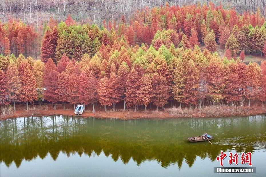 航拍江蘇盱眙鐵山寺國家森林公園初冬生態(tài)畫卷