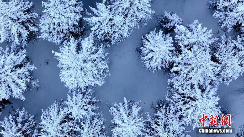 祁連山腹地山川霽雪 林海雪原惟余莽莽