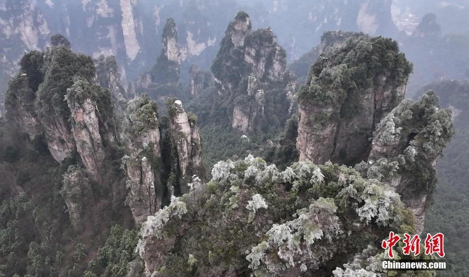 張家界黃石寨景區(qū)峰林霧凇沆碭 宛如水墨丹青畫