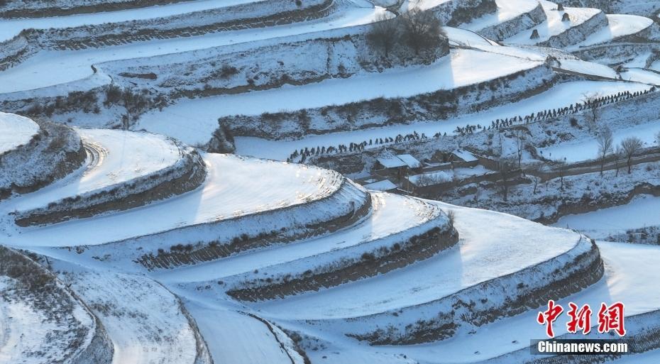 甘肅定西雪落高原梯田 層層疊疊宛如大地指紋