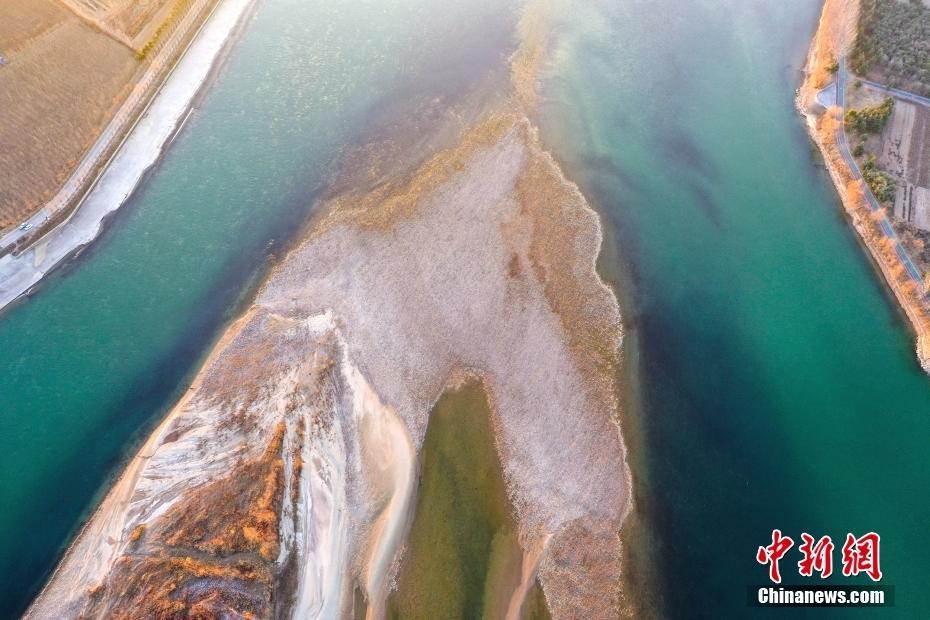 黃河濕地碧綠如墨 似翡翠鑲嵌大地