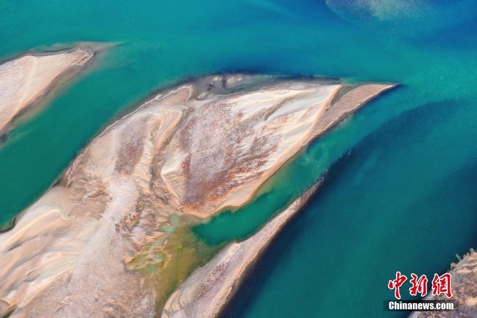 黃河濕地碧綠如墨 似翡翠鑲嵌大地