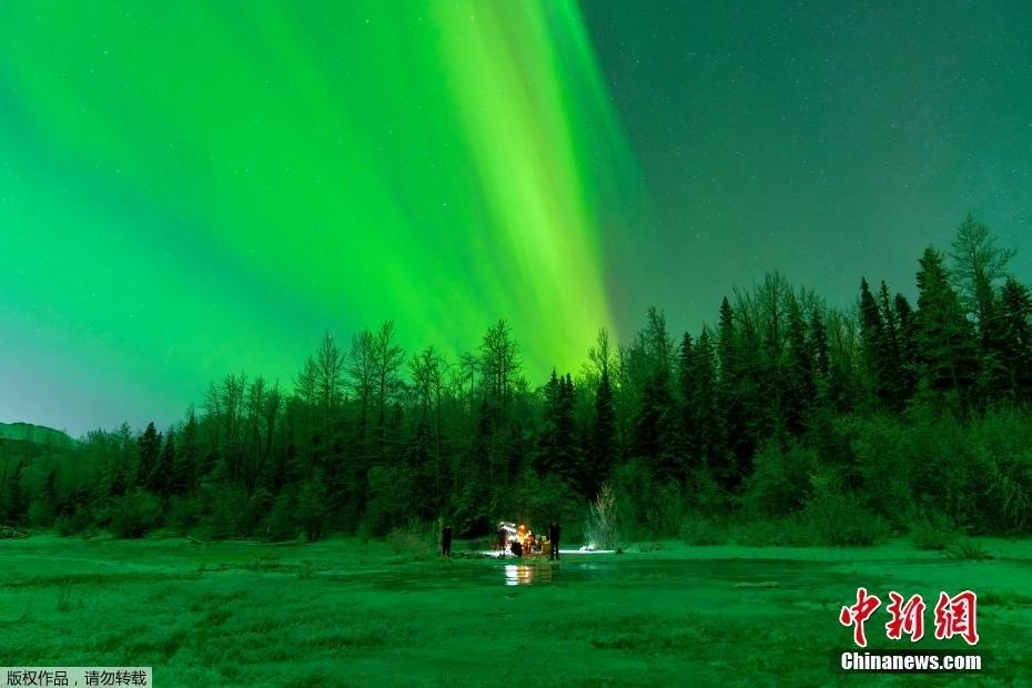 美國(guó)阿拉斯加州夜空現(xiàn)北極光 與繁星交相輝映夢(mèng)幻絢麗