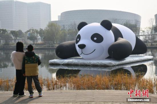 成都：大熊貓充氣裝置亮相新川之心公園